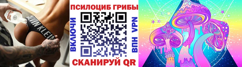 Галлюциногенные грибы Magic Shrooms ОМГ ОМГ как войти Морозовск