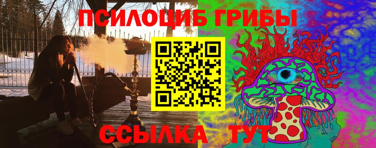 Псилоцибиновые грибы прущие грибы  Вход с VPN  Морозовск 